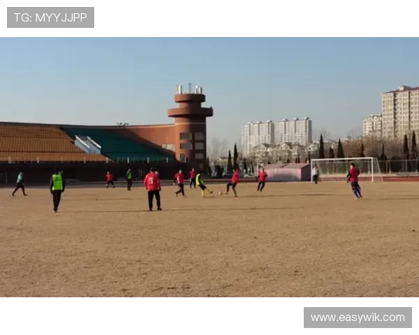 南安普顿俱乐部百年征程展现英伦足球精神与荣耀传承