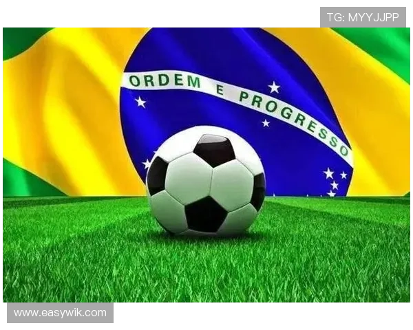 布雷斯特俱乐部的历史成就与未来发展:从地方俱乐部到法国足球重要力量 布雷斯特俱乐部的历史成就与未来发展:从地方俱乐部到法国足球重要力量