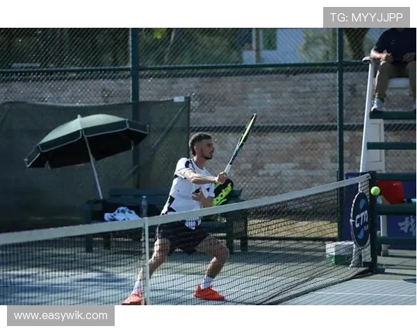 2025年网球巡回赛最新动态：全球顶尖选手争夺年终总决赛席位