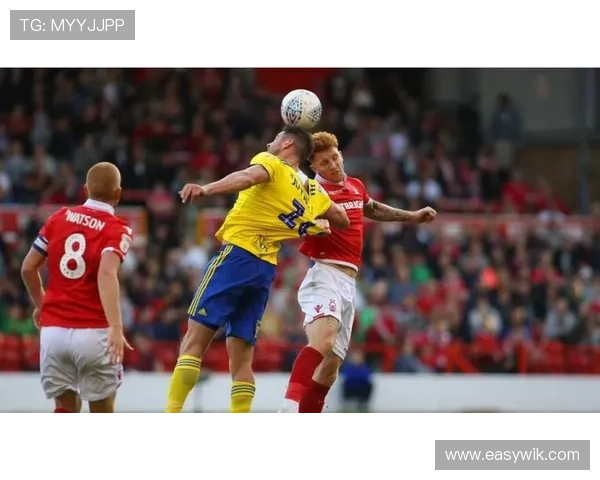 查尔顿俱乐部高层密集会议谋划冬季引援计划全力冲击升级席位