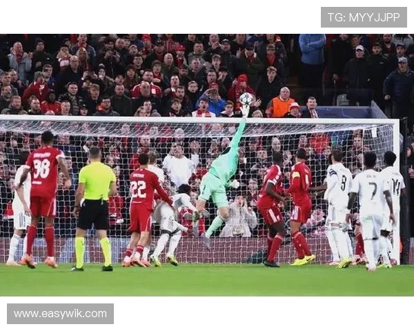 世界杯预选赛激战正酣 多支强队力争晋级名额 争夺白热化