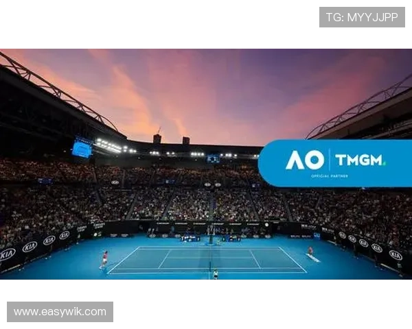 新生代崛起与老将坚守交织下的年度网球赛场风云回顾全球巡回赛激战全景